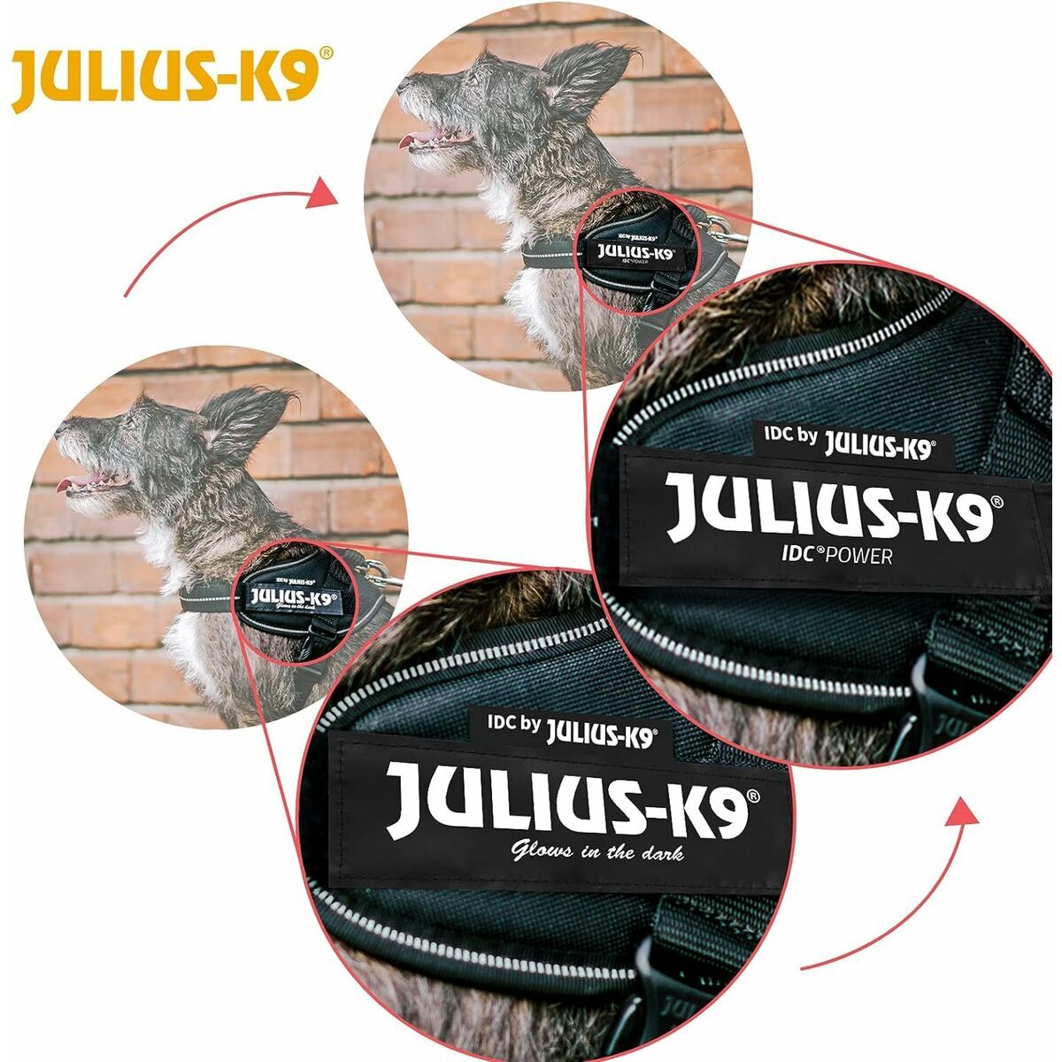 Julius K9 Hundegeschirr IDC Schwarz - BYAG.Tierbedarf > HundeJulius K9BYAG.S08637025999053616229Julius K9 Hundegeschirr IDC Schwarz