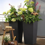 Lechuza Pflanzgefäß 13158 Tafel Polypropylen Kunststoff Bucket - BYAG.Garten > GartenarbeitLechuzaBYAG.S08007204008789131584Lechuza Pflanzgefäß 13158 Tafel Polypropylen Kunststoff Bucket