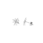 Radiant Damenohrringe RY000032 - BYAG.Schmuck > DaHerrenRadiantBYAG.S08006168434103480421Radiant Damenohrringe RY000032