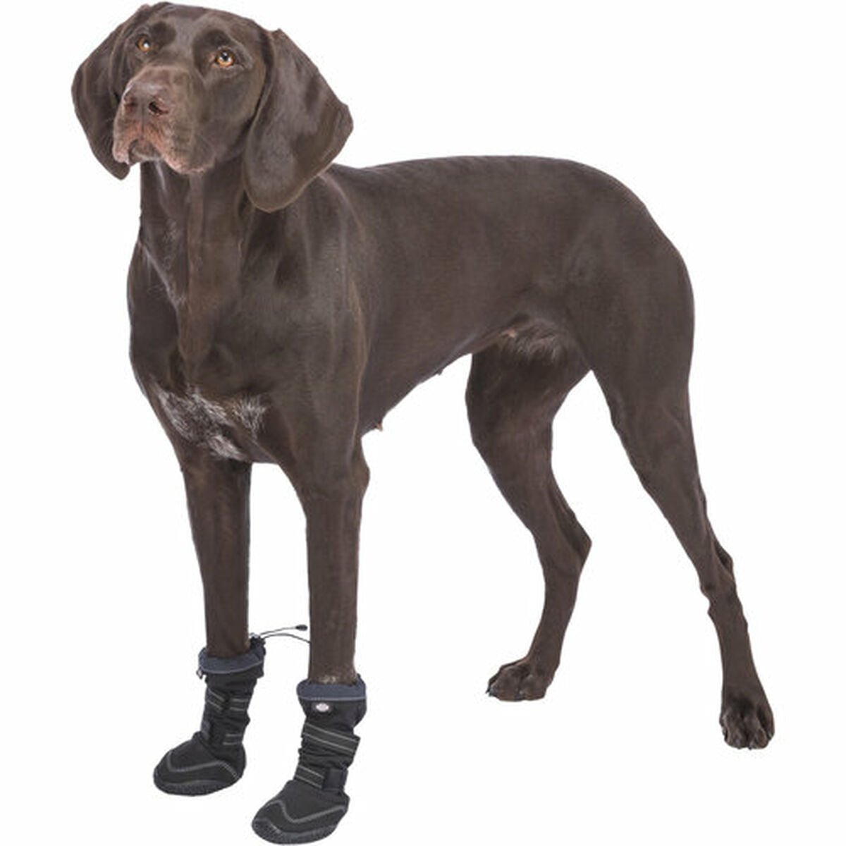 Trixie Hundeschuhe 19410 Schwarz - BYAG.Tierbedarf > HundeTrixieBYAG.S08004344011905194103Trixie Hundeschuhe 19410 Schwarz
