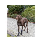 Trixie Hundeschuhe 19410 Schwarz - BYAG.Tierbedarf > HundeTrixieBYAG.S08004344011905194103Trixie Hundeschuhe 19410 Schwarz