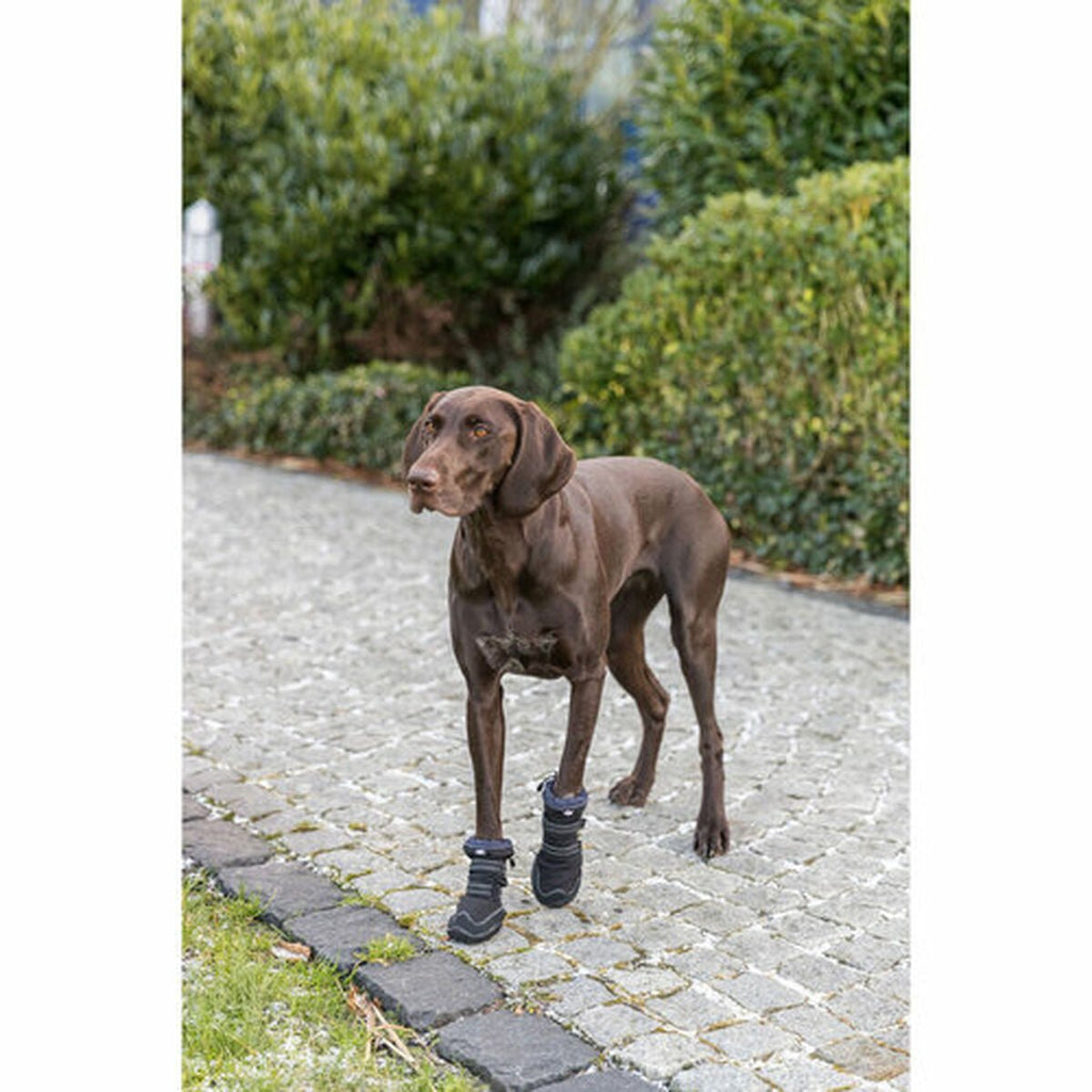 Trixie Hundeschuhe 19410 Schwarz - BYAG.Tierbedarf > HundeTrixieBYAG.S08004344011905194103Trixie Hundeschuhe 19410 Schwarz