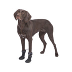 Trixie Hundeschuhe 19410 Schwarz - BYAG.Tierbedarf > HundeTrixieBYAG.S08004344011905194103Trixie Hundeschuhe 19410 Schwarz