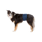 Trixie Incontinence Schutz Male Plug Abdomen - BYAG.Tierbedarf > HundeTrixieBYAG.S08007104011905236643Trixie Incontinence Schutz Male Plug Abdomen