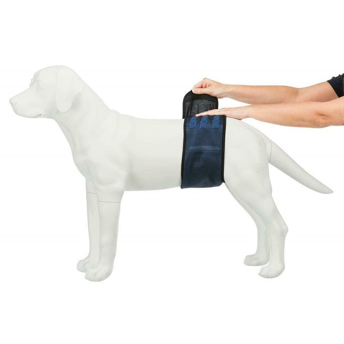 Trixie Incontinence Schutz Male Plug Abdomen - BYAG.Tierbedarf > HundeTrixieBYAG.S08007104011905236643Trixie Incontinence Schutz Male Plug Abdomen