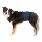 Trixie Incontinence Schutz Male Plug Abdomen - BYAG.Tierbedarf > HundeTrixieBYAG.S08007104011905236643Trixie Incontinence Schutz Male Plug Abdomen