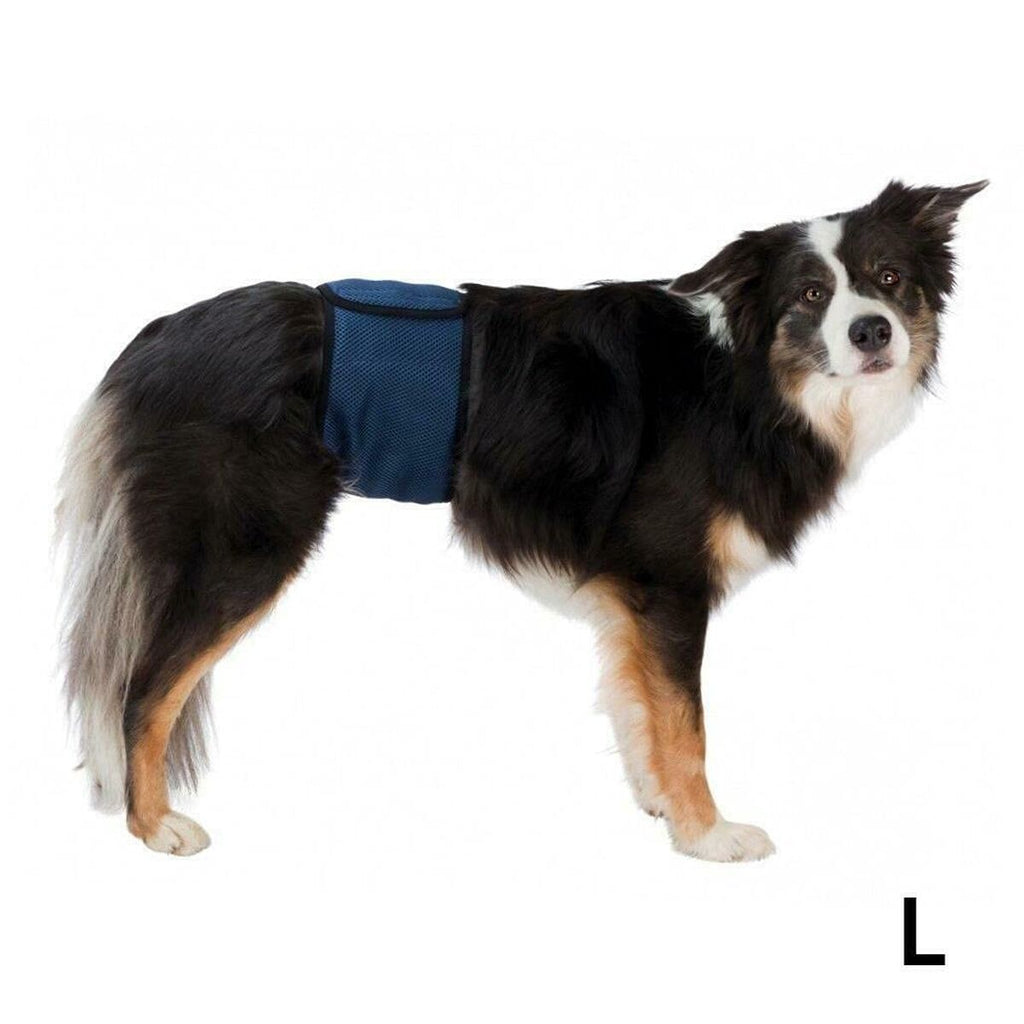 Trixie Incontinence Schutz Male Plug Abdomen - BYAG.Tierbedarf > HundeTrixieBYAG.S08007104011905236643Trixie Incontinence Schutz Male Plug Abdomen