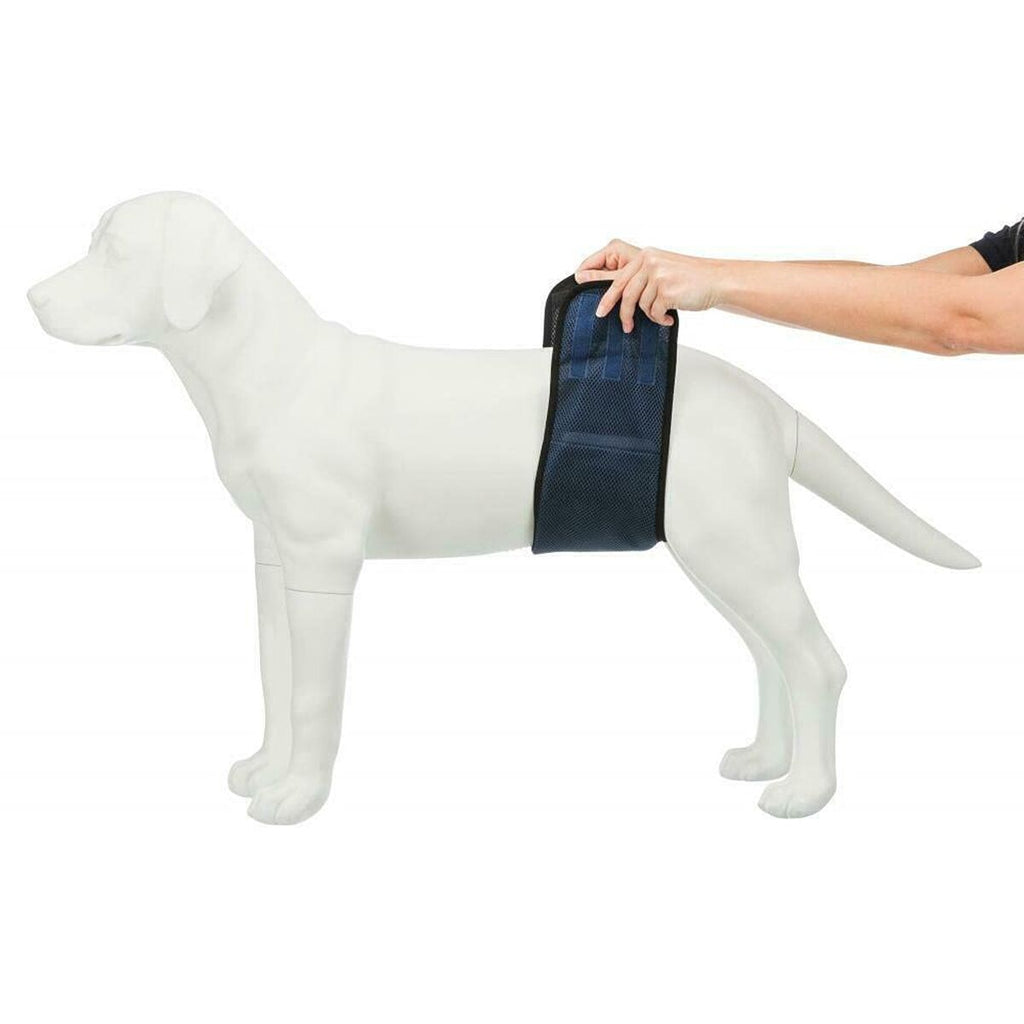 Trixie Incontinence Schutz Male Plug Abdomen - BYAG.Tierbedarf > HundeTrixieBYAG.S08007104011905236643Trixie Incontinence Schutz Male Plug Abdomen
