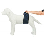 Trixie Incontinence Schutz Male Plug Abdomen - BYAG.Tierbedarf > HundeTrixieBYAG.S08007104011905236643Trixie Incontinence Schutz Male Plug Abdomen