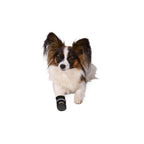 Trixie Stiefel Walker Care Comfort Schwarz M - BYAG.Tierbedarf > HundeTrixieBYAG.S08007084011905194721Trixie Stiefel Walker Care Comfort Schwarz M